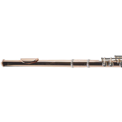William S. Haynes Custom 14K Gold Flute with Gold Toneholes, Offset G, C# Trill