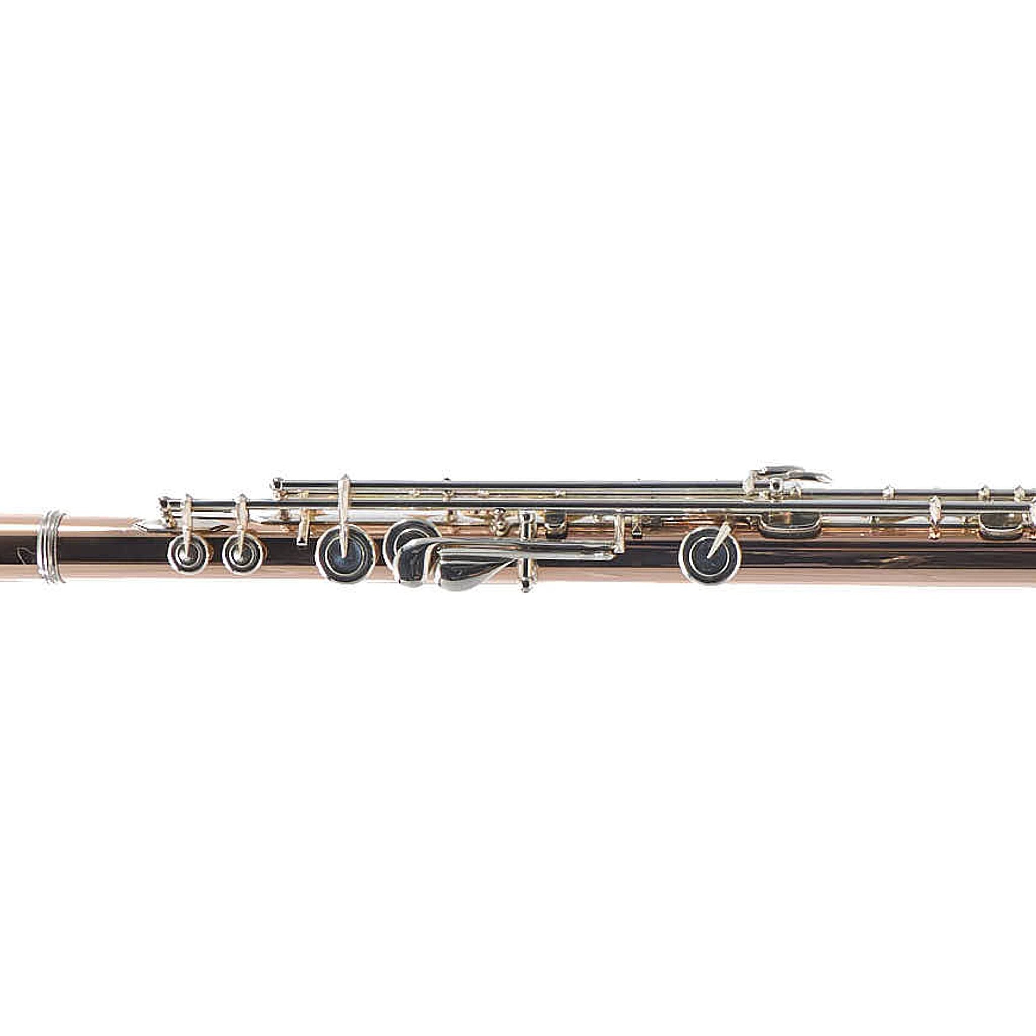 William S. Haynes Custom 14K Gold Flute with Gold Toneholes, Offset G, C# Trill