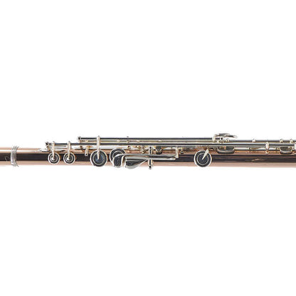 William S. Haynes Custom 14K Gold Flute with Gold Toneholes, Offset G, C# Trill