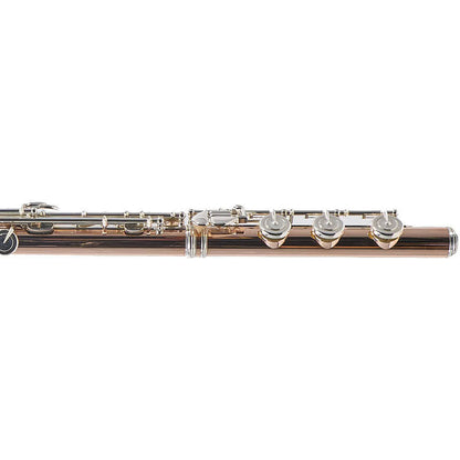 William S. Haynes Custom 14K Gold Flute with Gold Toneholes, Offset G, C# Trill
