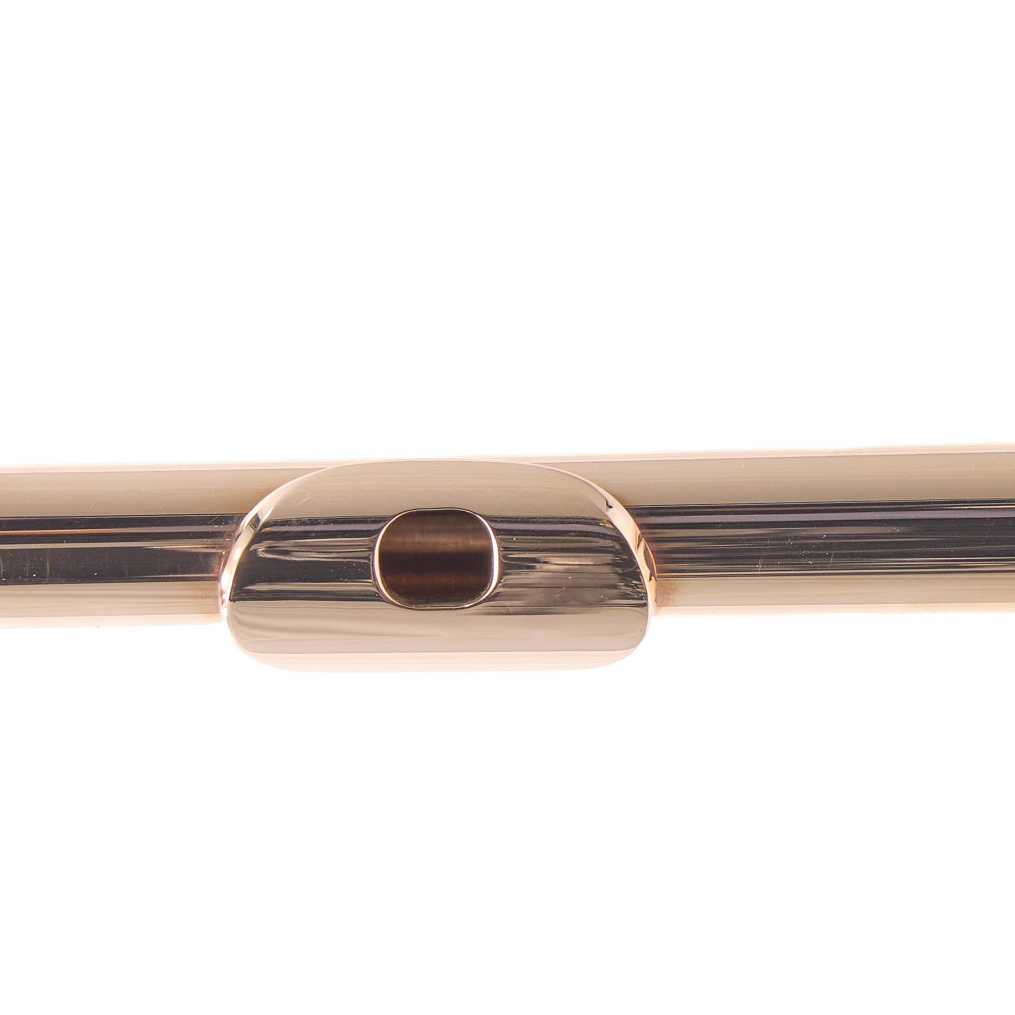 William S. Haynes Custom 14K Gold Flute with Gold Toneholes, Offset G, C# Trill