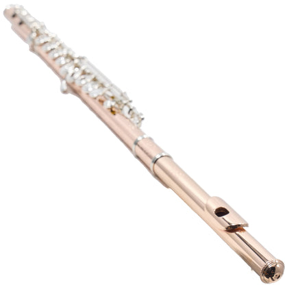 William S. Haynes Custom 14K Gold Flute with Gold Toneholes, Offset G, C# Trill