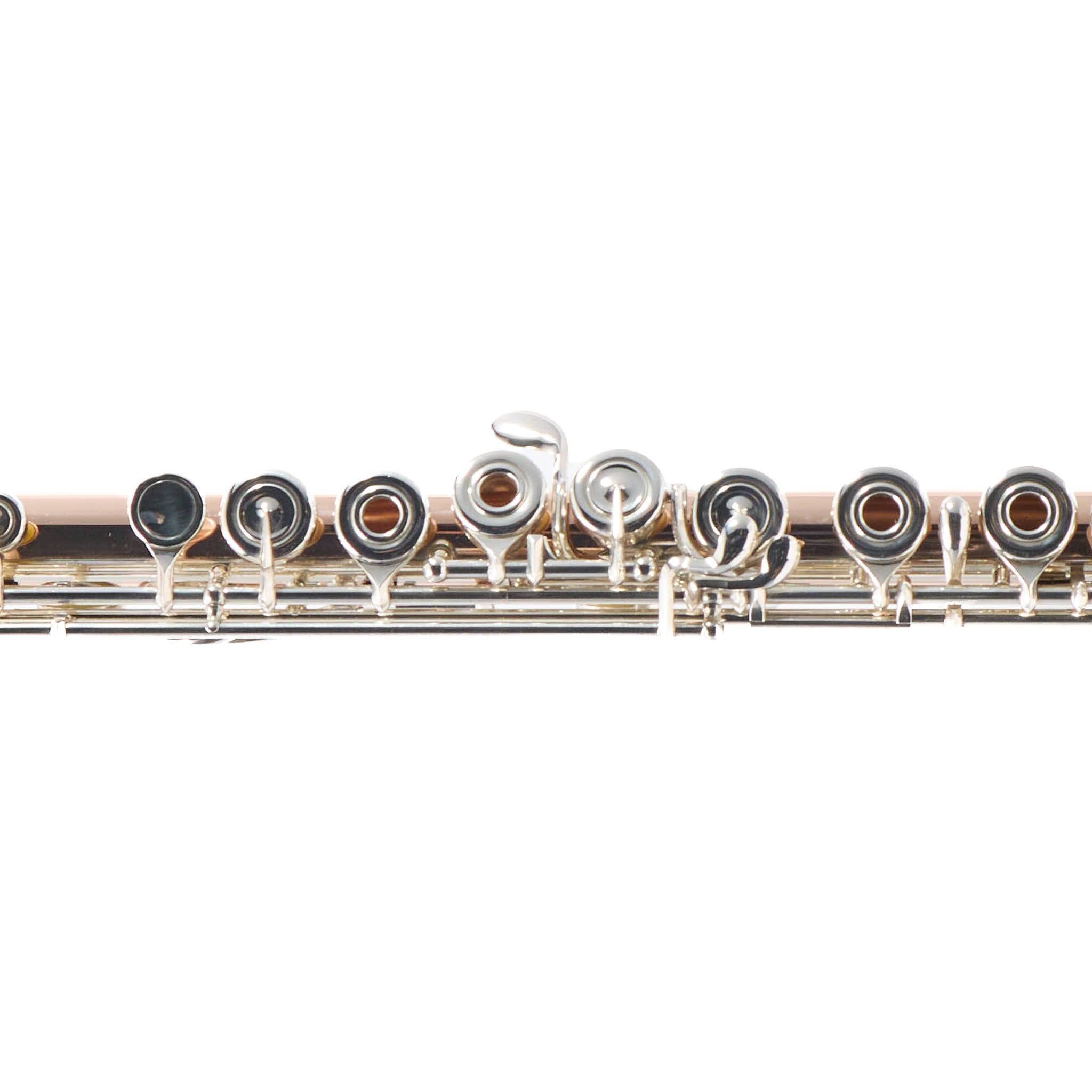 William S. Haynes Custom 14K Gold Flute with Offset G, C# Trill, Split E, B Foot