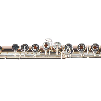William S. Haynes Custom 14K Gold Flute with Offset G, C# Trill, Split E, B Foot