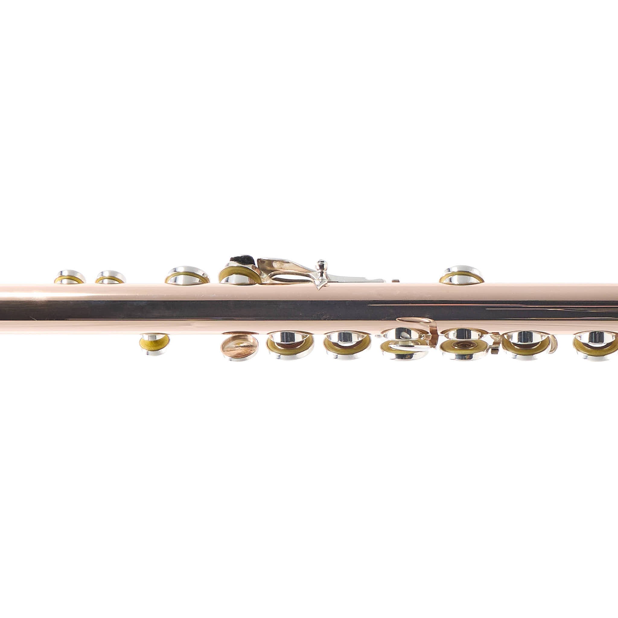 William S. Haynes Custom 14K Gold Flute with Offset G, C# Trill, Split E, B Foot