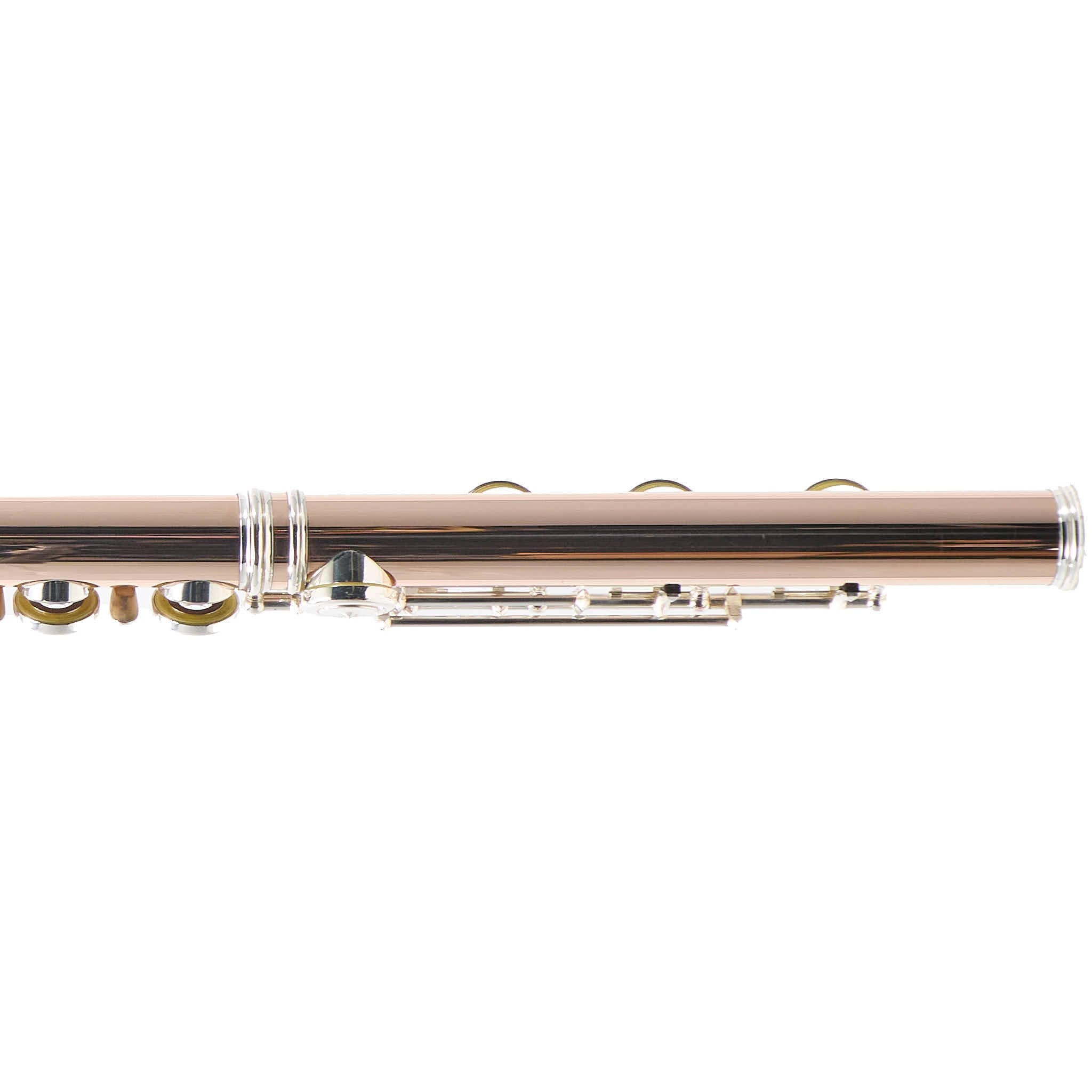 William S. Haynes Custom 14K Gold Flute with Offset G, C# Trill, Split E, B Foot