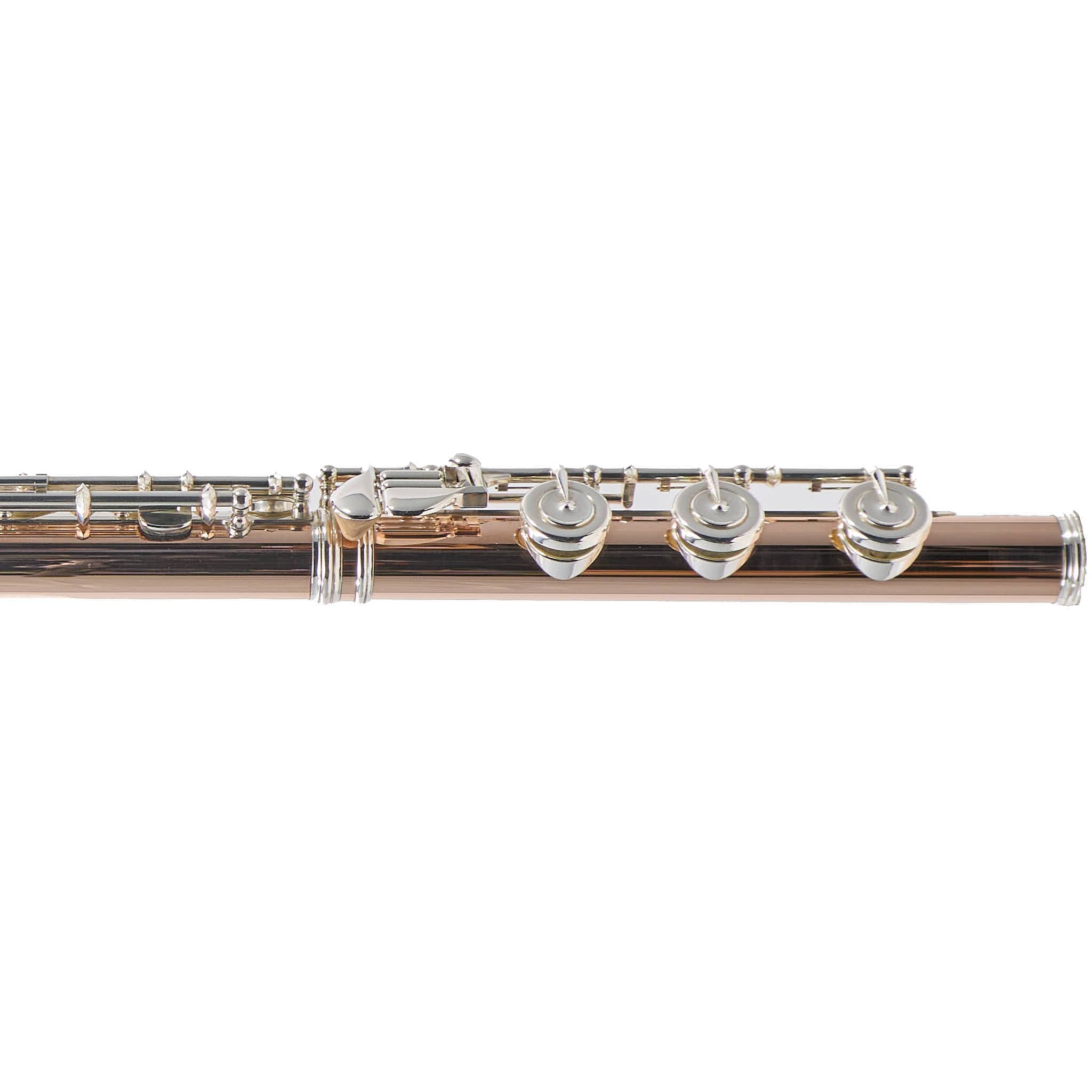 William S. Haynes Custom 14K Gold Flute with Offset G, C# Trill, Split E, B Foot