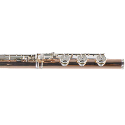 William S. Haynes Custom 14K Gold Flute with Offset G, C# Trill, Split E, B Foot