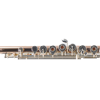 William S. Haynes Custom 10K Gold Flute with Offset G, C# Trill, Split E, B Foot