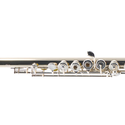 William S. Haynes Custom 14K White Gold Flute with Offset G, C# Trill, B Foot