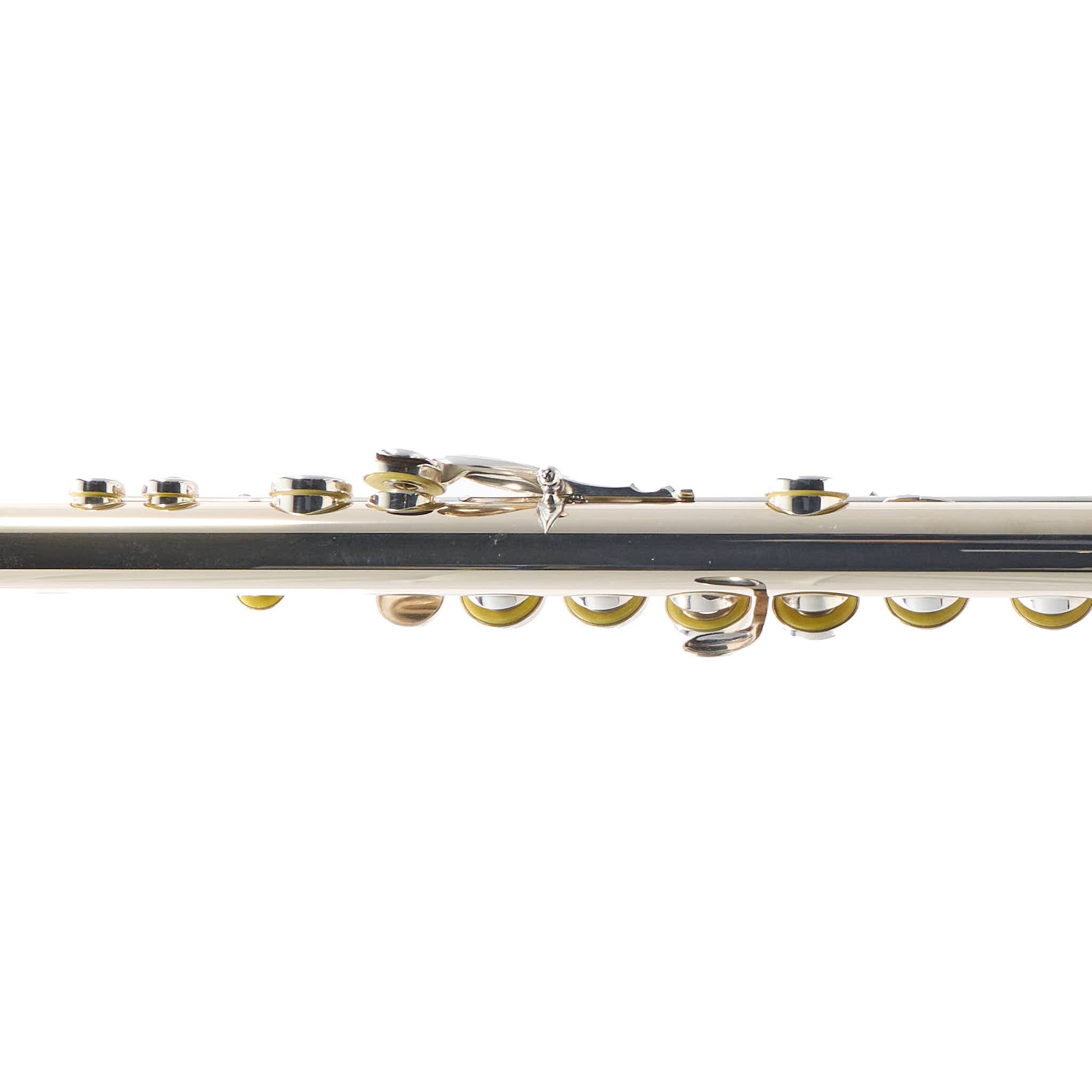 William S. Haynes Custom 14K White Gold Flute with Offset G, C# Trill, B Foot