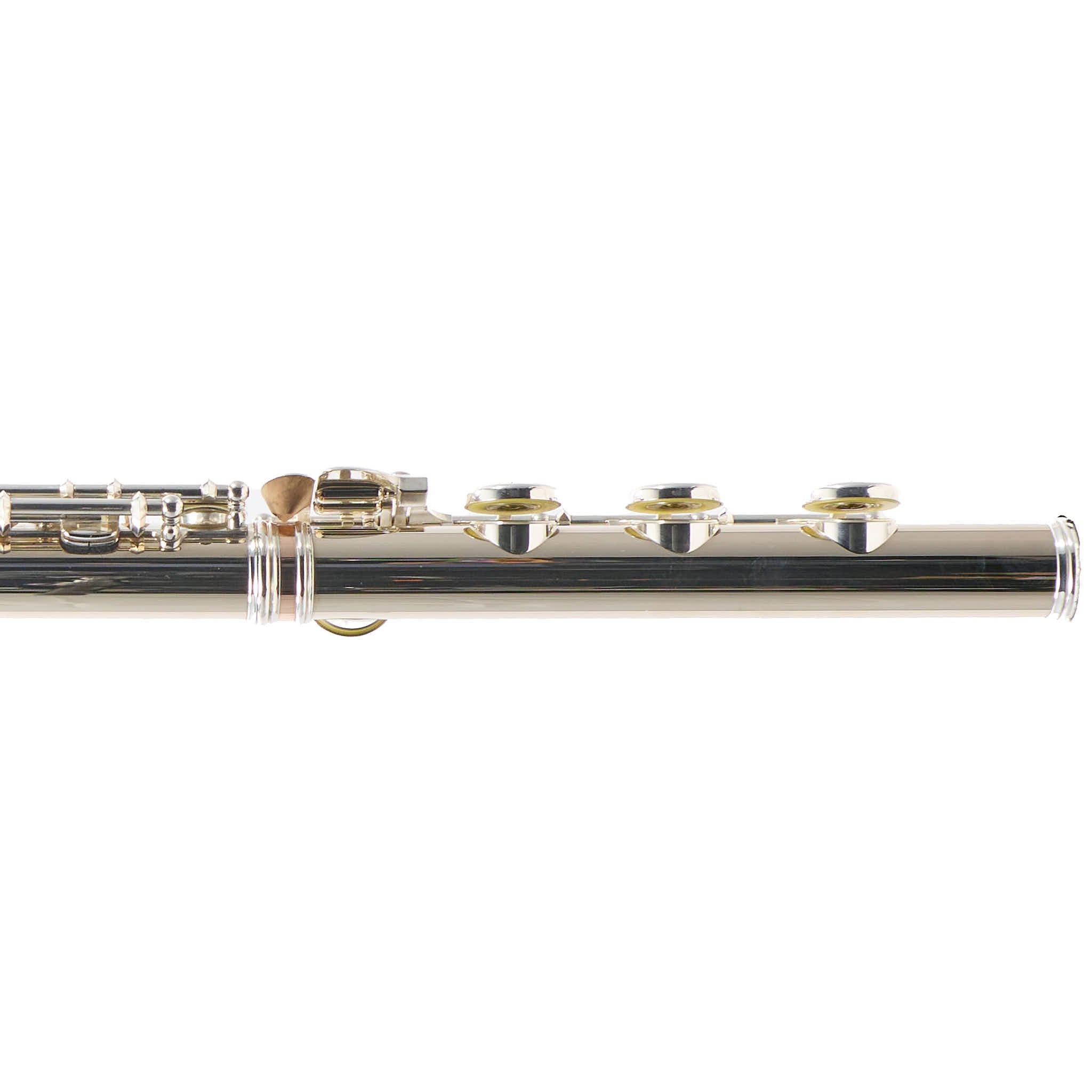 William S. Haynes Custom 14K White Gold Flute with Offset G, C# Trill, B Foot