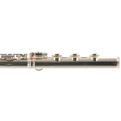 William S. Haynes Custom 14K White Gold Flute with Offset G, C# Trill, B Foot