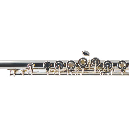 William S. Haynes Q3 Professional Solid Silver Flute