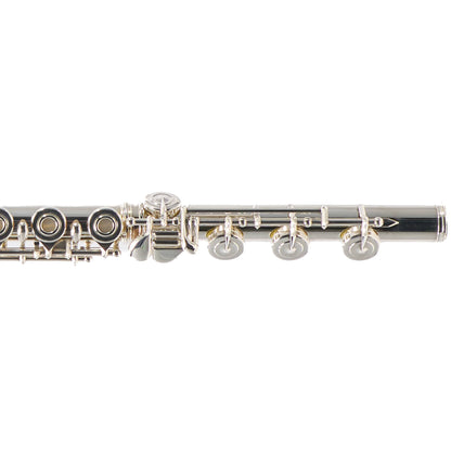 William S. Haynes Q3 Professional Solid Silver Flute