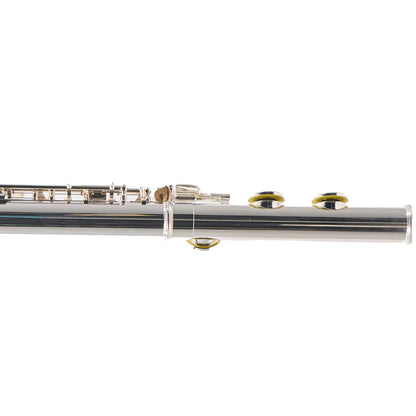 William S. Haynes AF570-CS  'Amadeus' Alto Flute