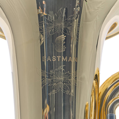 Eastman EBB825VG Professional 5/4 BBb Tuba in Gold Brass