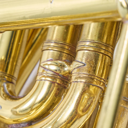 Schmidt-Wrap Professional Double French Horn RESTORATION PROJECT