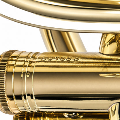 Besson BE2052 'Prestige' Professional Euphonium in Lacquer