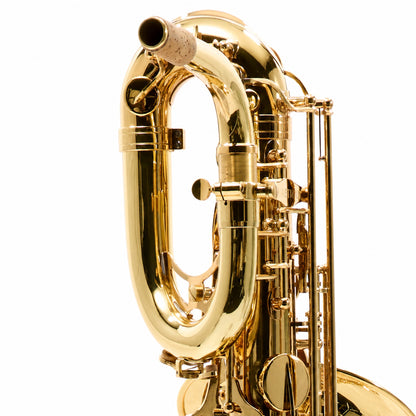 Eastman EBS453 Performance Low A Baritone Saxophone in Lacquer