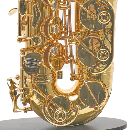 Eastman EAS850 'Rue Saint-Georges' Professional Alto Saxophone in Lacquer