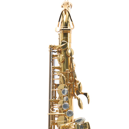 Eastman EAS850 'Rue Saint-Georges' Professional Alto Saxophone in Lacquer