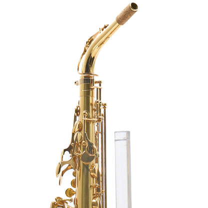 Eastman EAS850 'Rue Saint-Georges' Professional Alto Saxophone in Lacquer