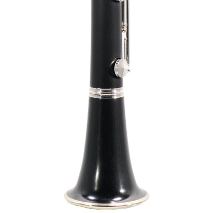 Buffet Crampon R13 Professional Bb Clarinet in Grenadilla