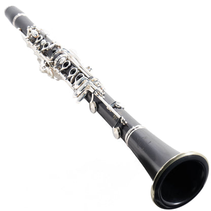 Buffet Crampon R13 Professional Bb Clarinet in Grenadilla