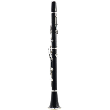 Buffet Crampon R13 Professional Bb Clarinet