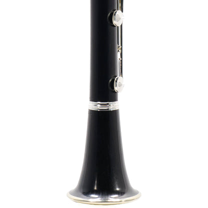 Buffet Crampon R13 Professional Bb Clarinet