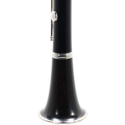 Yamaha YCL-650II Professional Bb Clarinet in Grenadilla