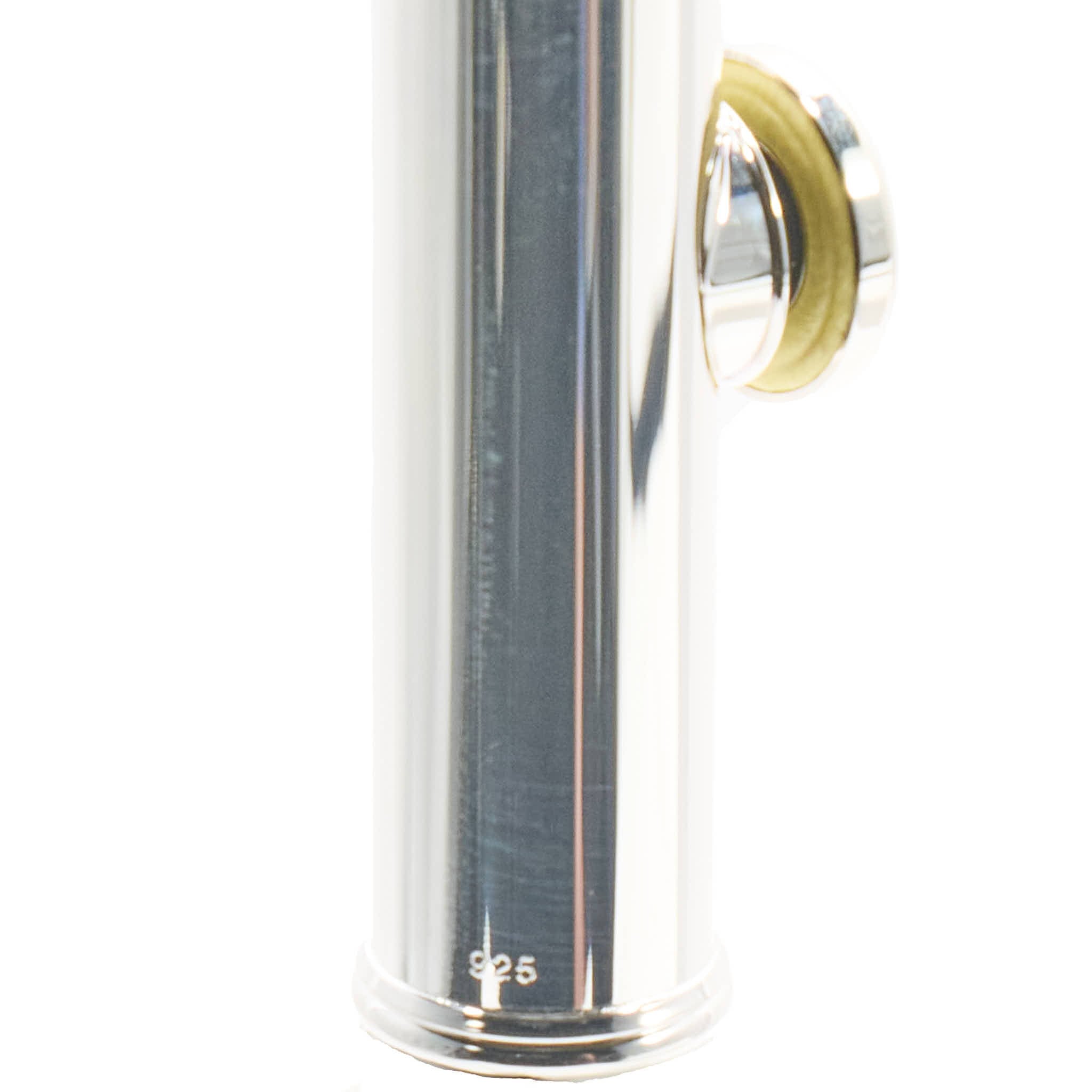 Azumi AZ3SRBEO-C Professional Solid Silver Flute