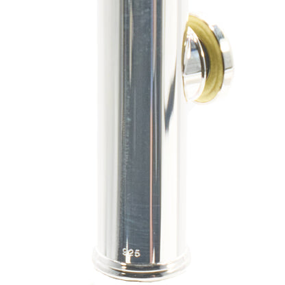 Azumi AZ3SRBEO-C Professional Solid Silver Flute