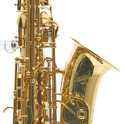 Giardinelli by Eastman GAS10 Alto Saxophone in Gold Lacquer SN 11533980