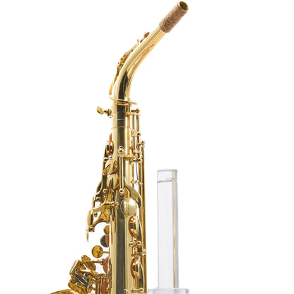 Giardinelli by Eastman GAS10 Alto Saxophone in Gold Lacquer SN 11533980