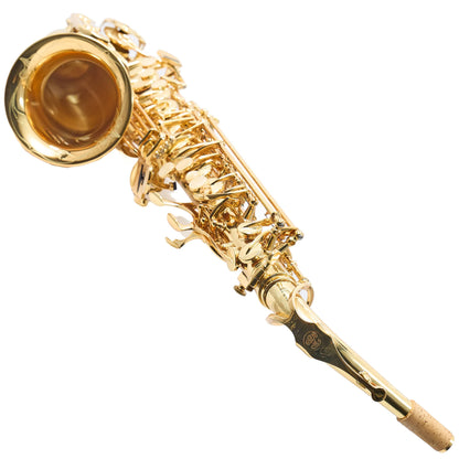 Buffet Crampon 400 Series Professional Alto Saxophone in Lacquer