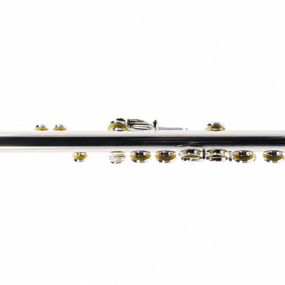 William S. Haynes AF680SE-BO 'Amadeus' Intermediate Flute in Silver Plate