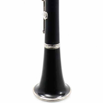Buffet Crampon R13 Professional Bb Clarinet in Grenadilla