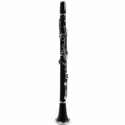Buffet Crampon R13 Professional Bb Clarinet in Grenadilla