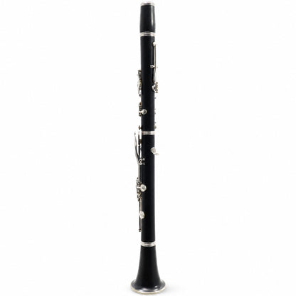 Buffet Crampon R13 Professional Bb Clarinet in Grenadilla