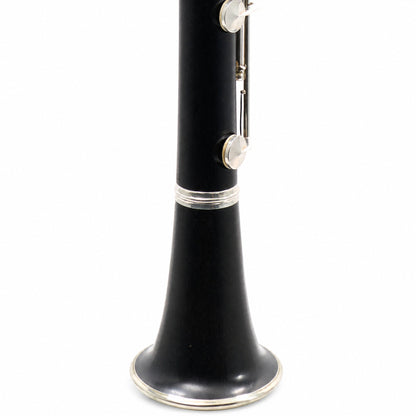 Buffet Crampon R13 Professional Bb Clarinet in Grenadilla
