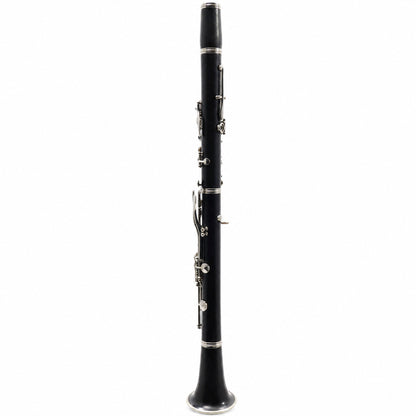 Buffet Crampon R13 Professional Bb Clarinet in Grenadilla