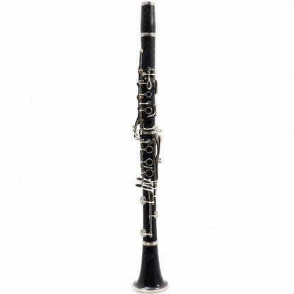Buffet Crampon R13 Professional Bb Clarinet in Grenadilla