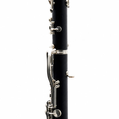 Buffet Crampon R13 Professional Bb Clarinet in Grenadilla