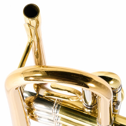 Jupiter XO 1602RL Professional Bb Trumpet in Gold Lacquer with Silver Trim