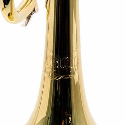 Bach BTR301 Student Bb Trumpet in Lacquer