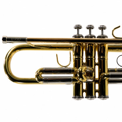 Bach BTR301 Student Bb Trumpet in Lacquer