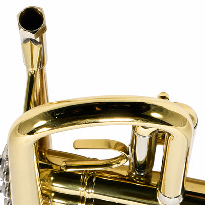 Bach BTR301 Student Bb Trumpet in Lacquer