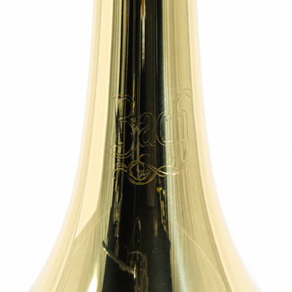 Bach BTR202 Student Bb Trumpet in Lacquer